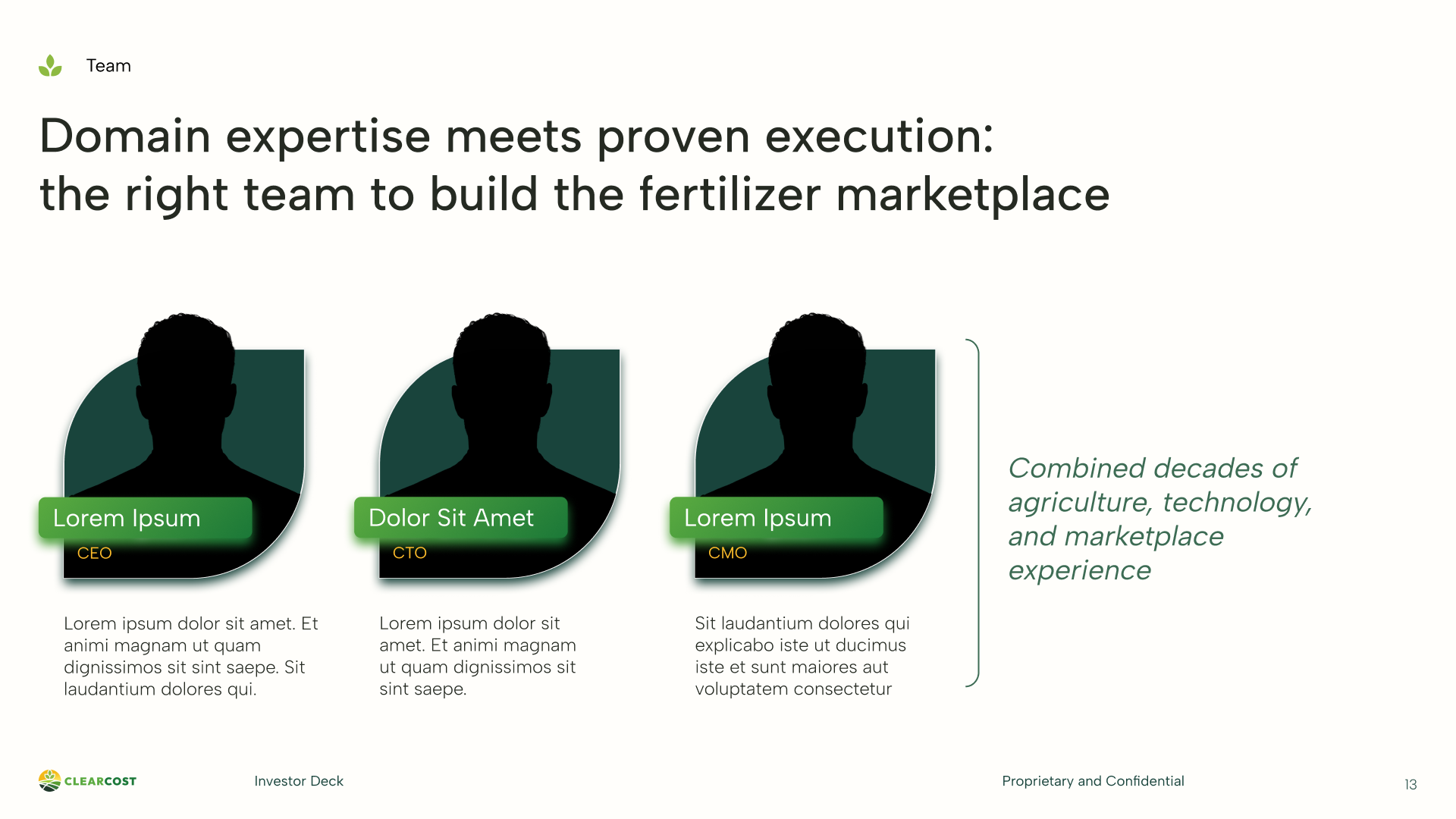 Presentation slide 13